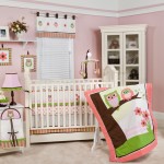 Adorable Sweet Owl Baby Girl Room