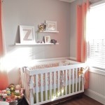 Baby Girl Room Nursery Idea – Coral and Grey